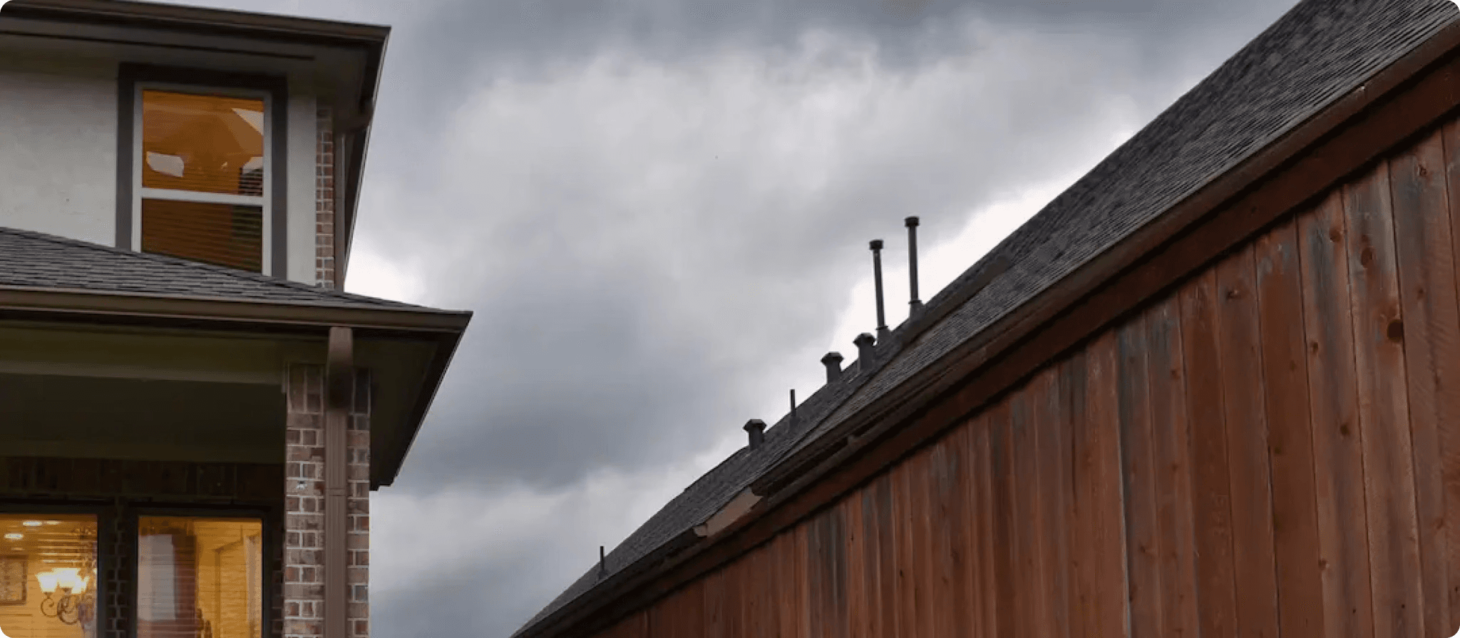 The Rise of AI in Web Development